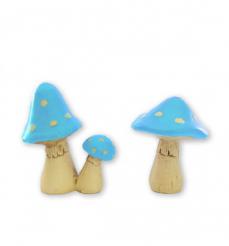 Mushrooms Blue mushrooms